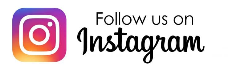 The Painting Company Instagram Logo